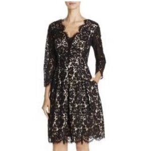 Eliza J Black and Tan Long Sleeve V-Neck A-Line Dress